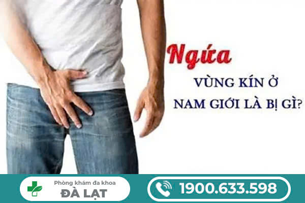Hình ảnh minh họa